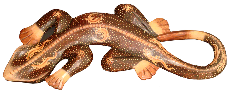 Gecko Salamander Figur Handarbeit kaufen Afrika Deko Shop 2392